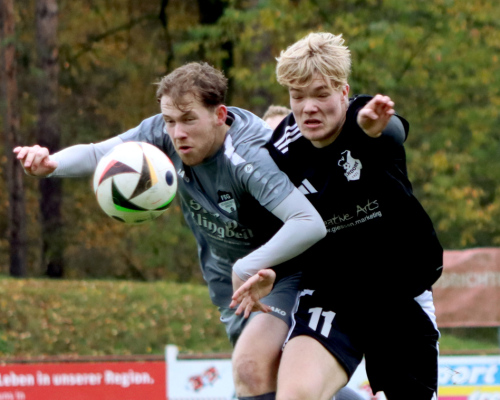 SVM 2:2 FSG Schönstadt/Bracht